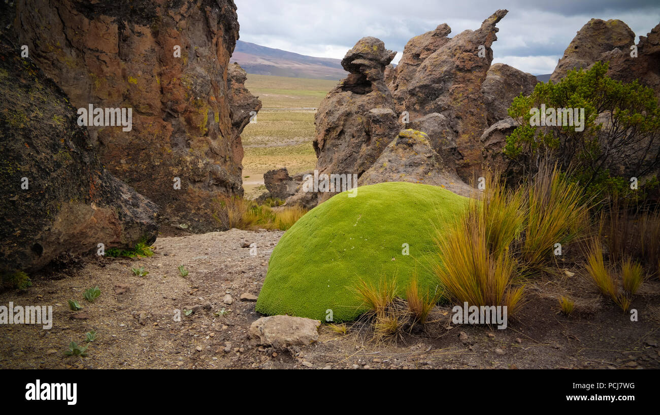 Sandsteinfelsen Ausbildung in Imata in Salinas und Aguada Blanca National Reservation in Arequipa, Peru Stockfoto