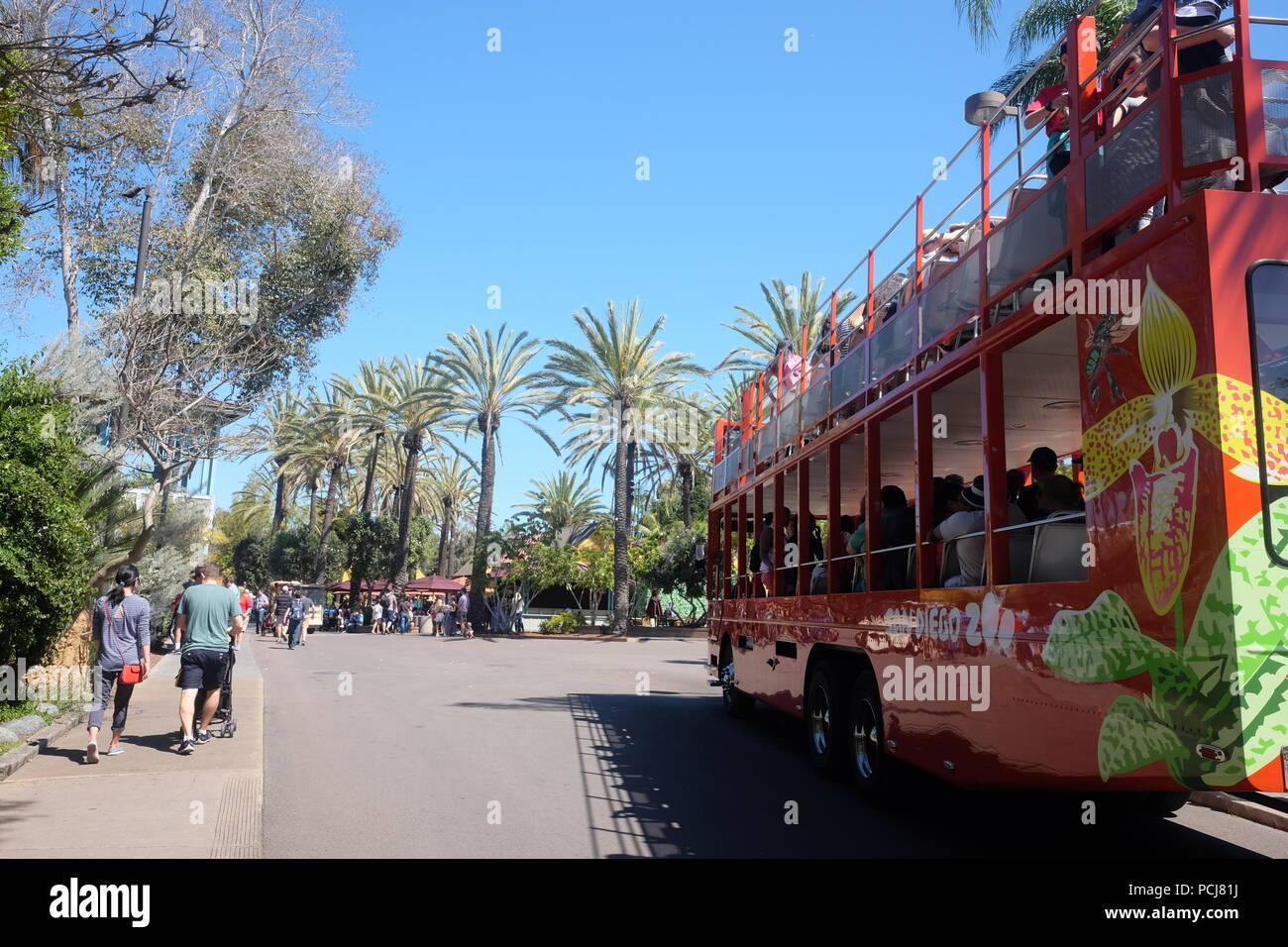 Hop-on-Hop-off-Bus im Zoo von San Diego Stockfoto