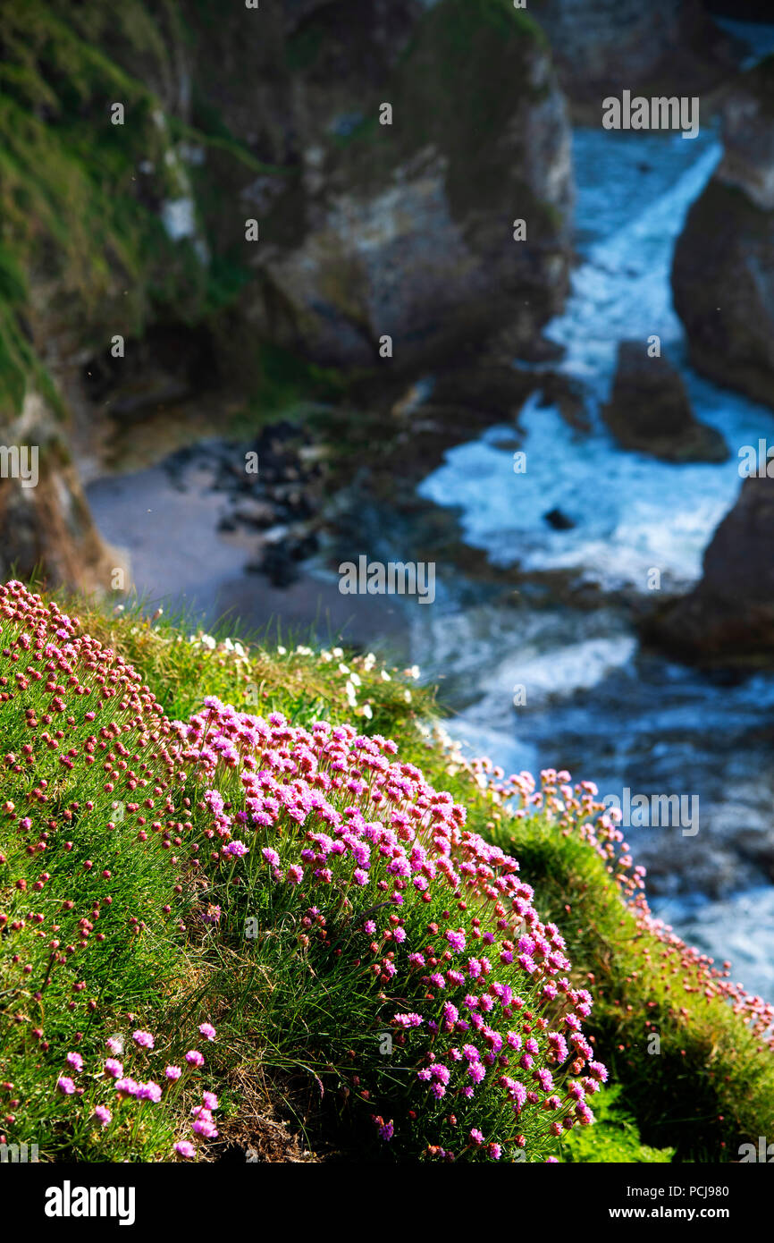 Whiterocks, Causeway Coast, County Antrim, Nordirland Stockfoto