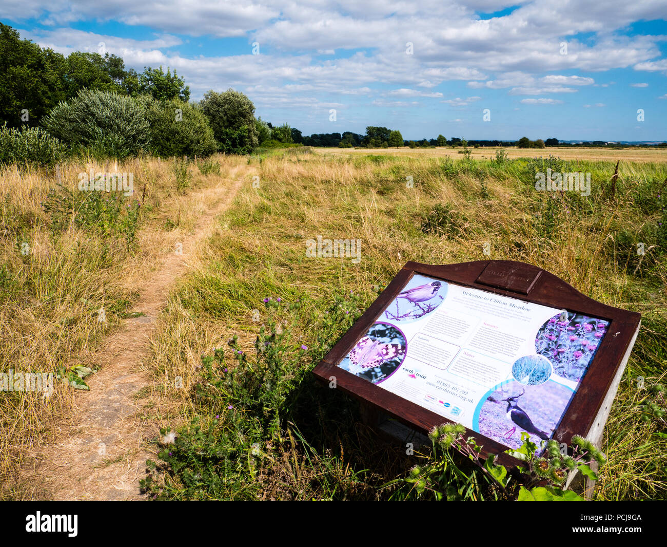 Flussauen, Erde vertrauen Feuchtgebiete, Blumenwiesen, Wallingford, Oxfordshire, England, UK, GB. Stockfoto