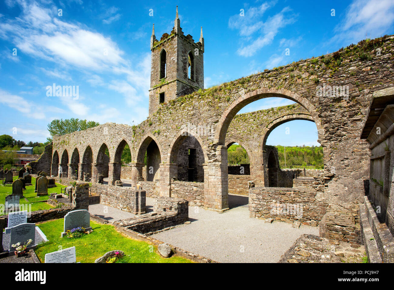 Ruinen von Baltinglass Abbey Stockfoto