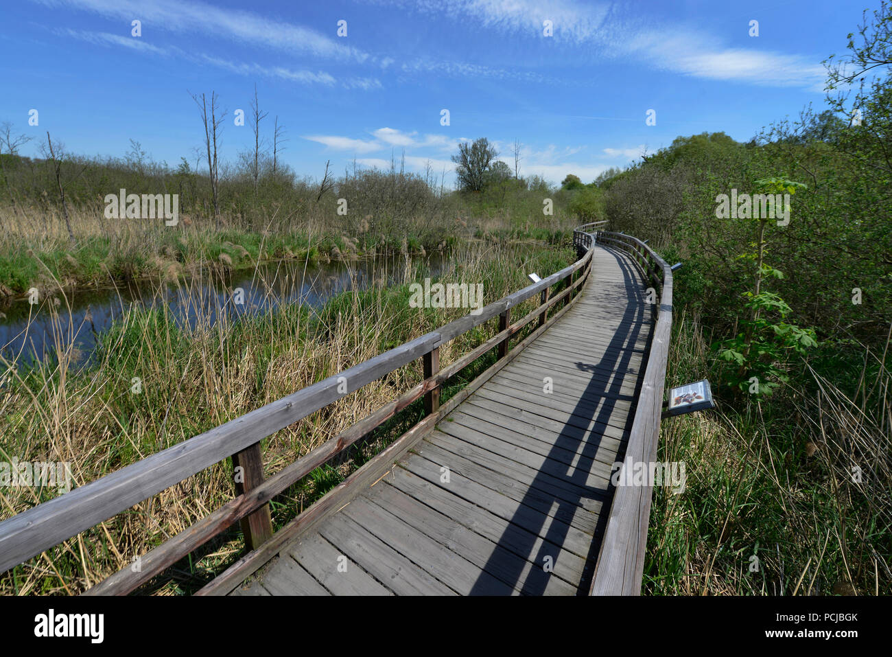 Eichwerder Steg, Tegeler Fliess, Luebars, Reinickendorf, Berlin, Deutschland Stockfoto