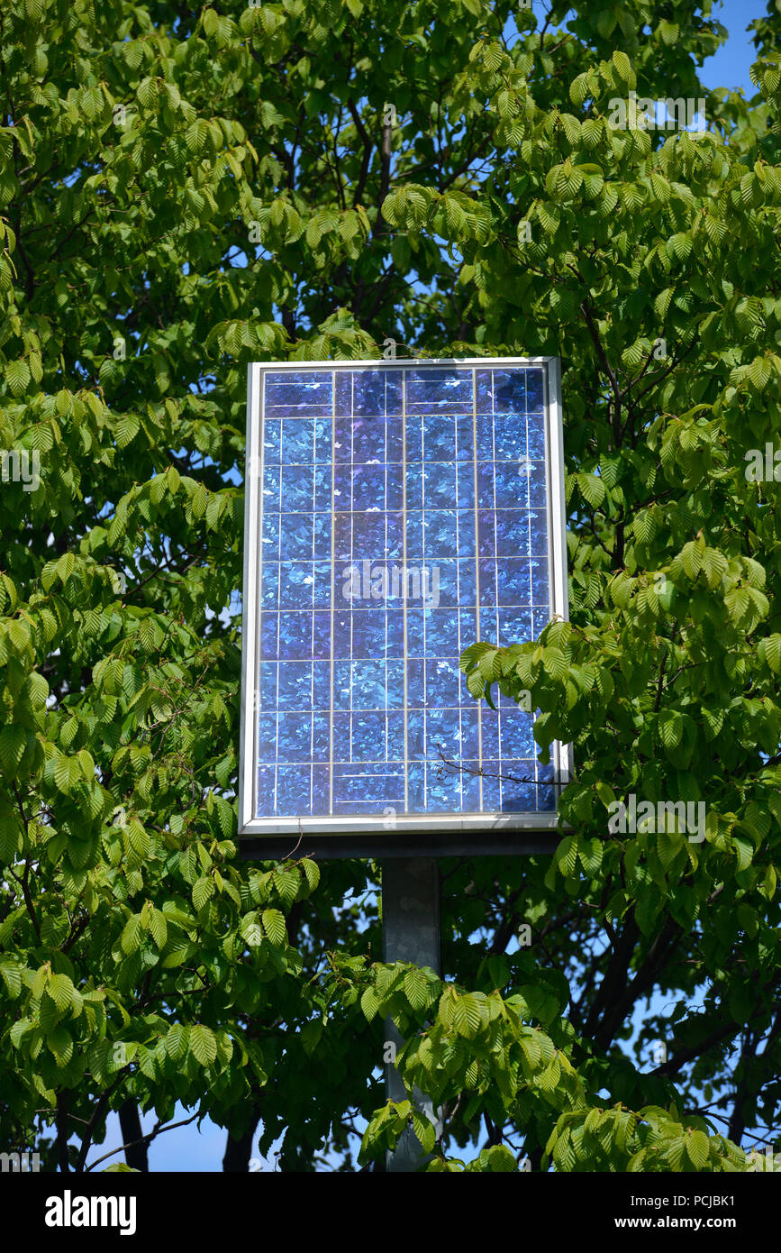 Photovoltaik, Kurt-Schumacher-Damm, Tegel, Reinickendorf, Berlin, Deutschland Stockfoto
