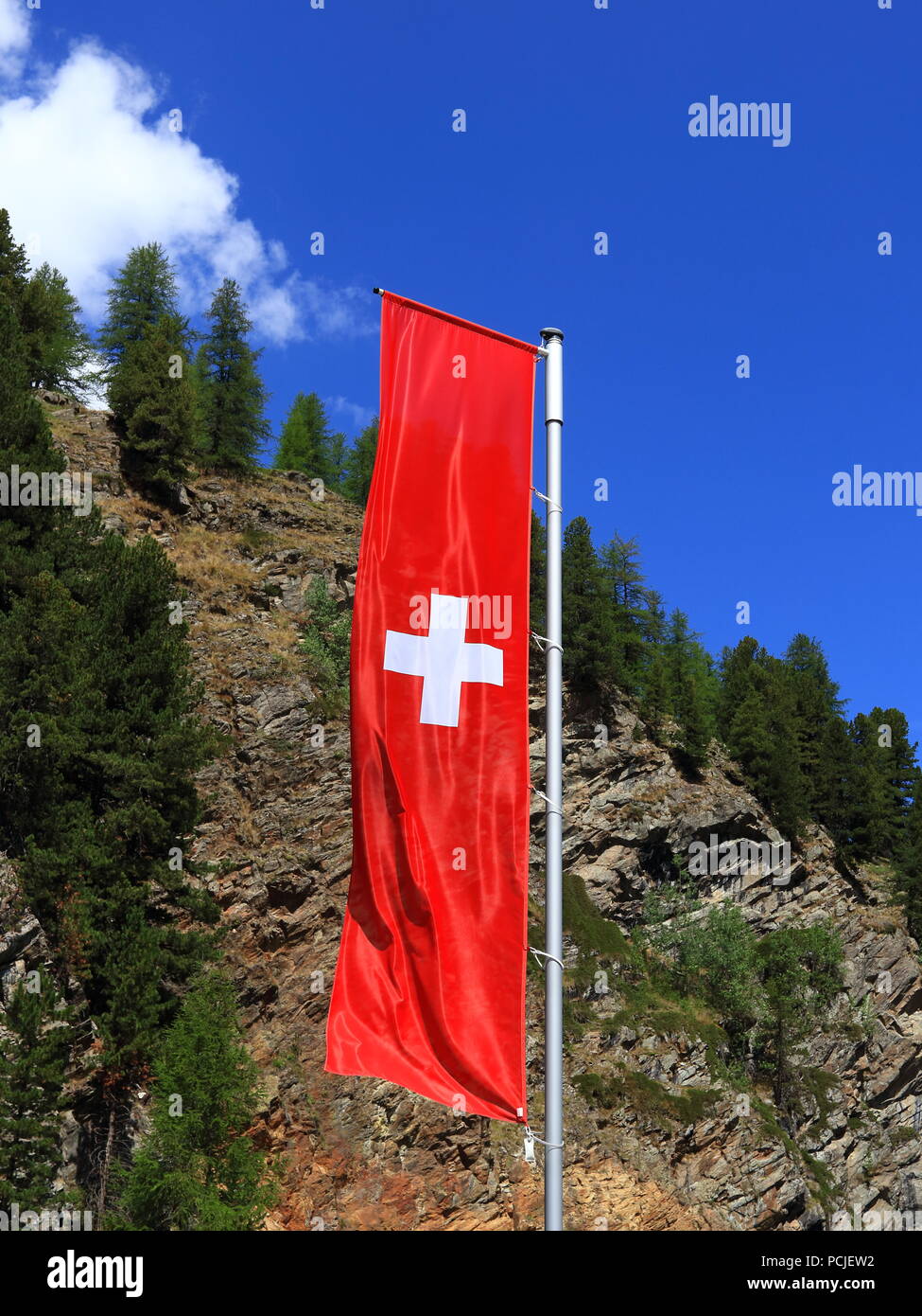 Flagge der Schweiz gegen Wald und blauem Himmel Hintergrund Stockfoto