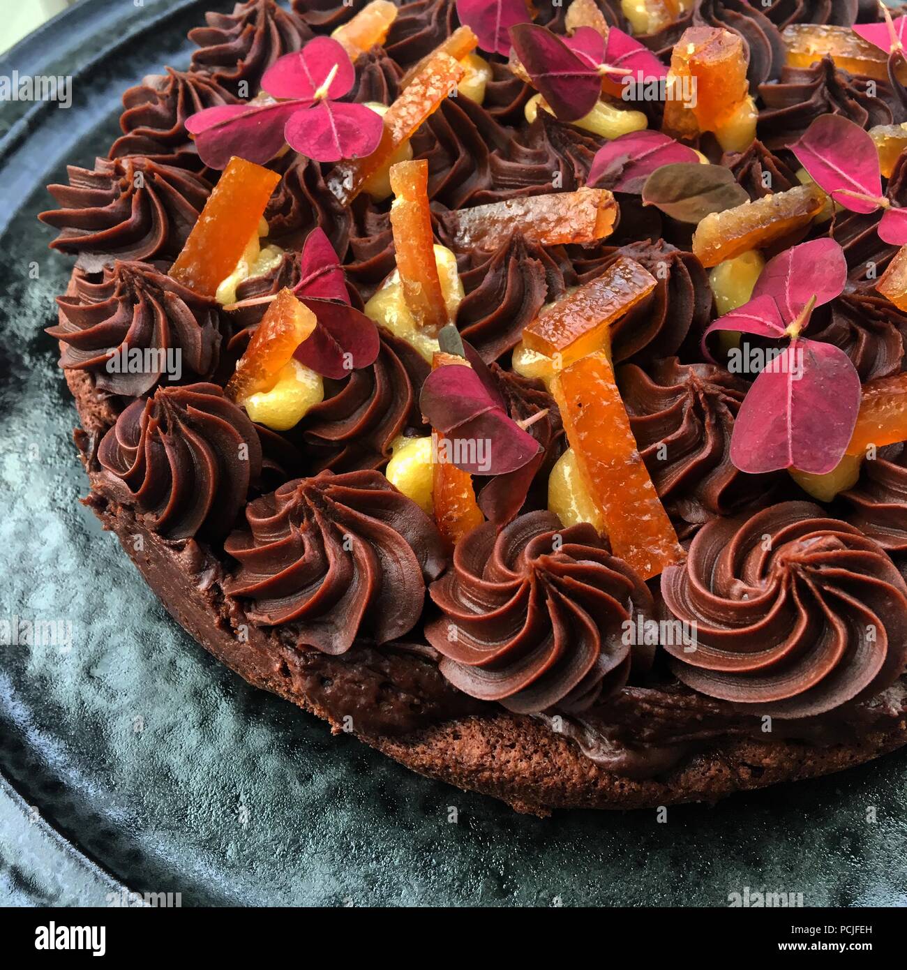 Schokoladenkuchen mit Pudding und getrocknete Orangen Stockfoto