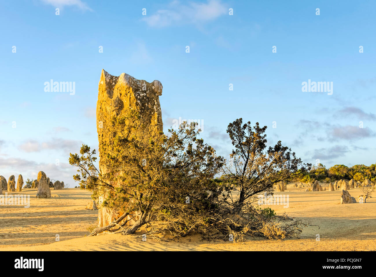 Die Pinnacles, Nambung National Park, Western Australia, Australien Stockfoto