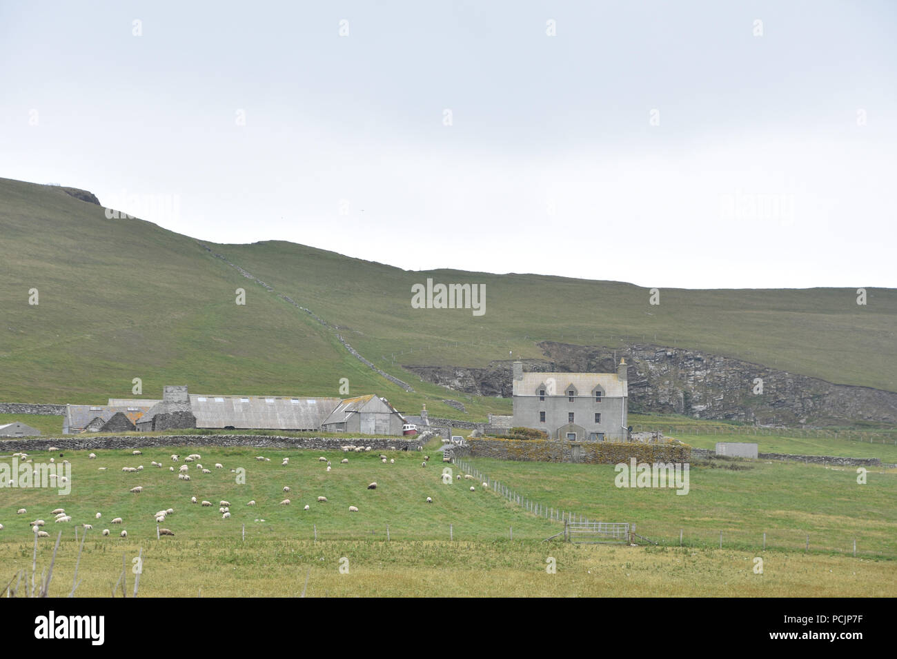 Bauernhof Shetlandinseln, Schottland, Großbritannien Stockfoto