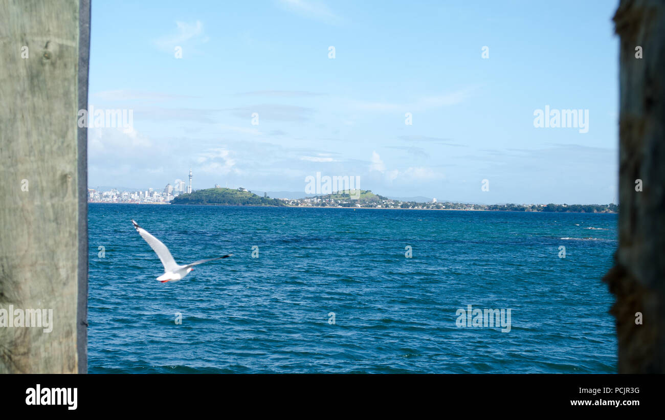 Neuseeland, Island Stockfoto