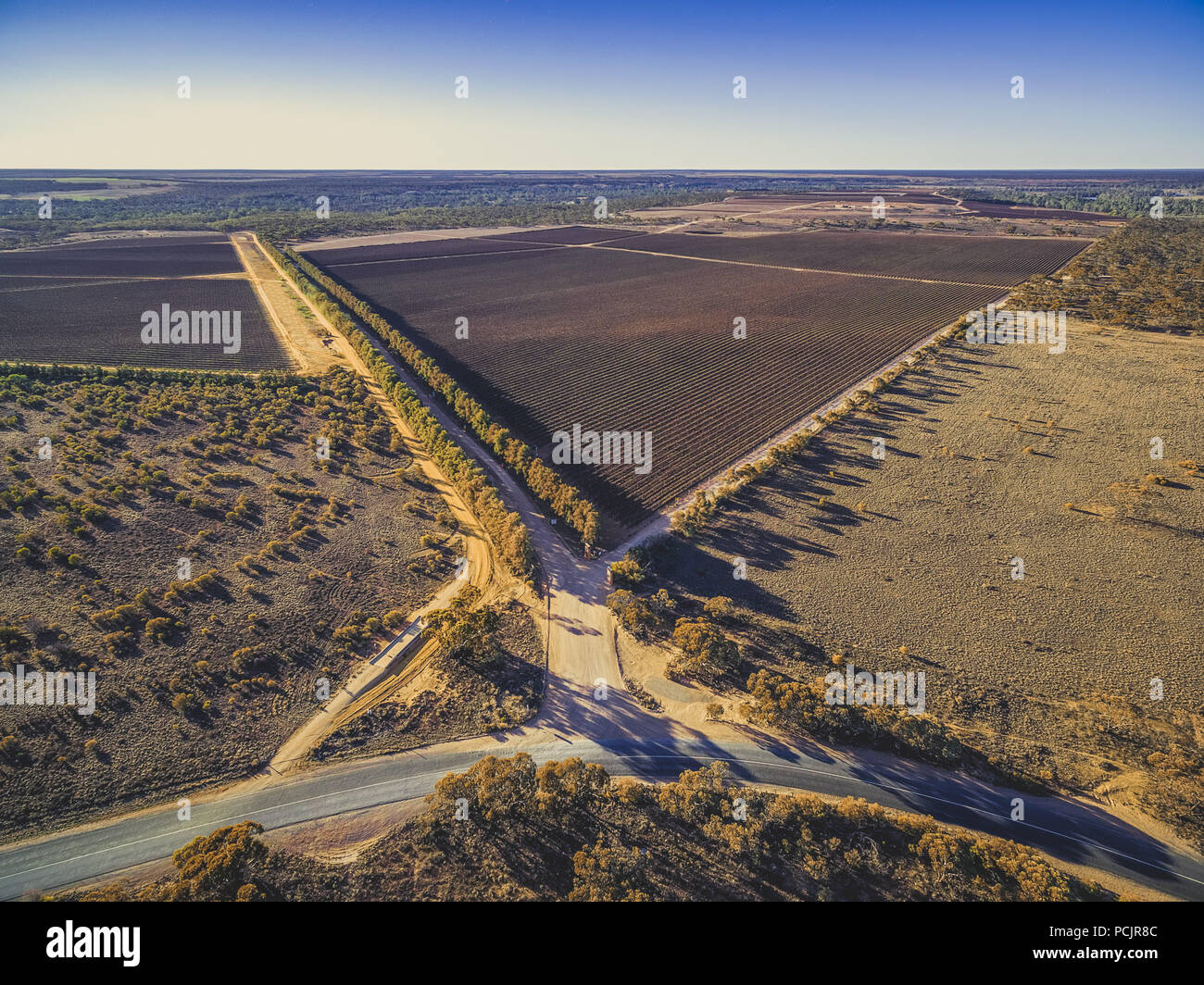 Schönen Weinberge der Riverland Region in South Australia - Luftbild Stockfoto