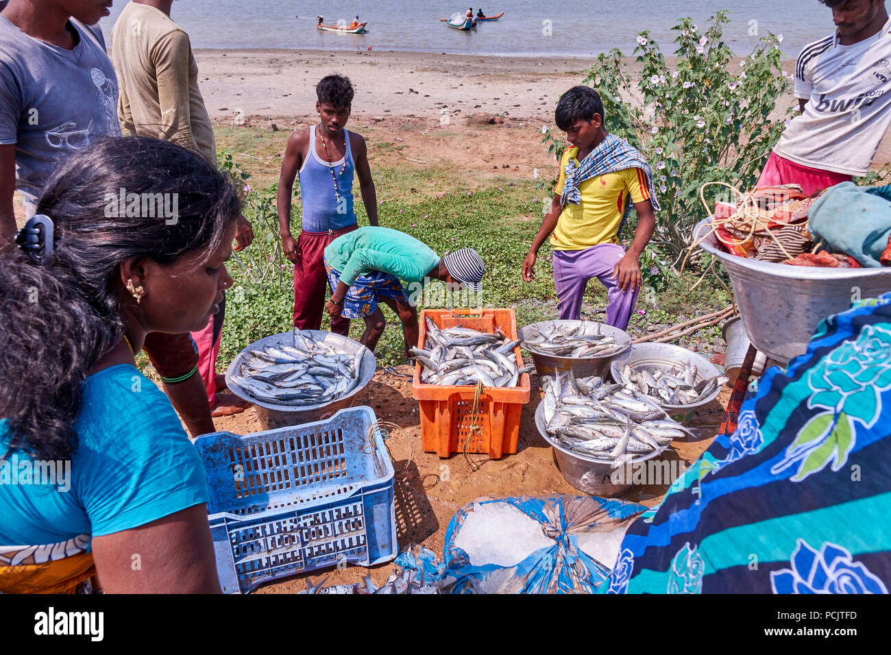 Fischer Landung einen Haken im ländlichen Indien Stockfoto