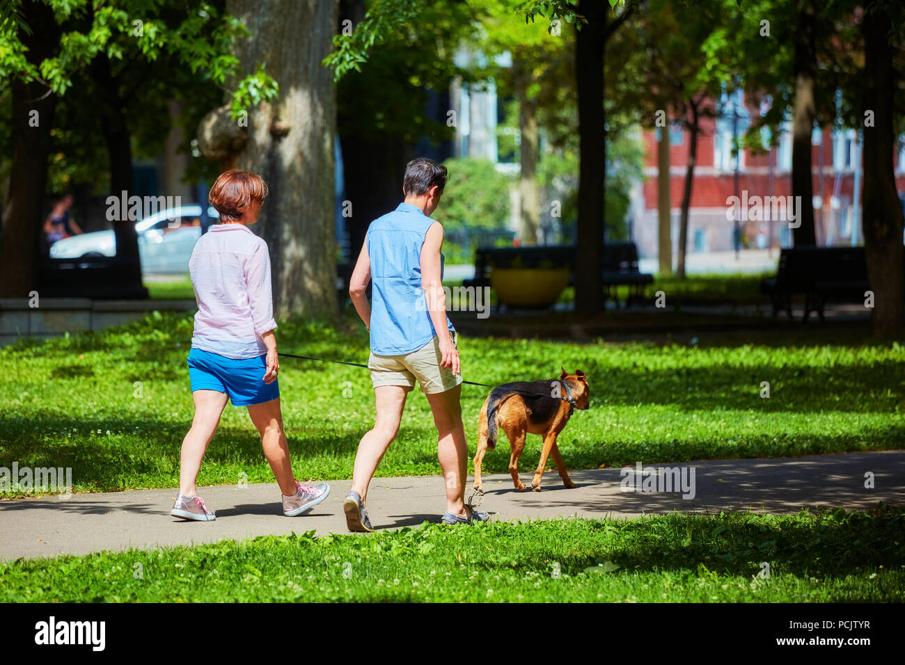 Zwei Frauen gehen in den Park mit einem Hund an einem sonnigen Tag. Park La Fontaine, Montreal, Kanada. Stockfoto