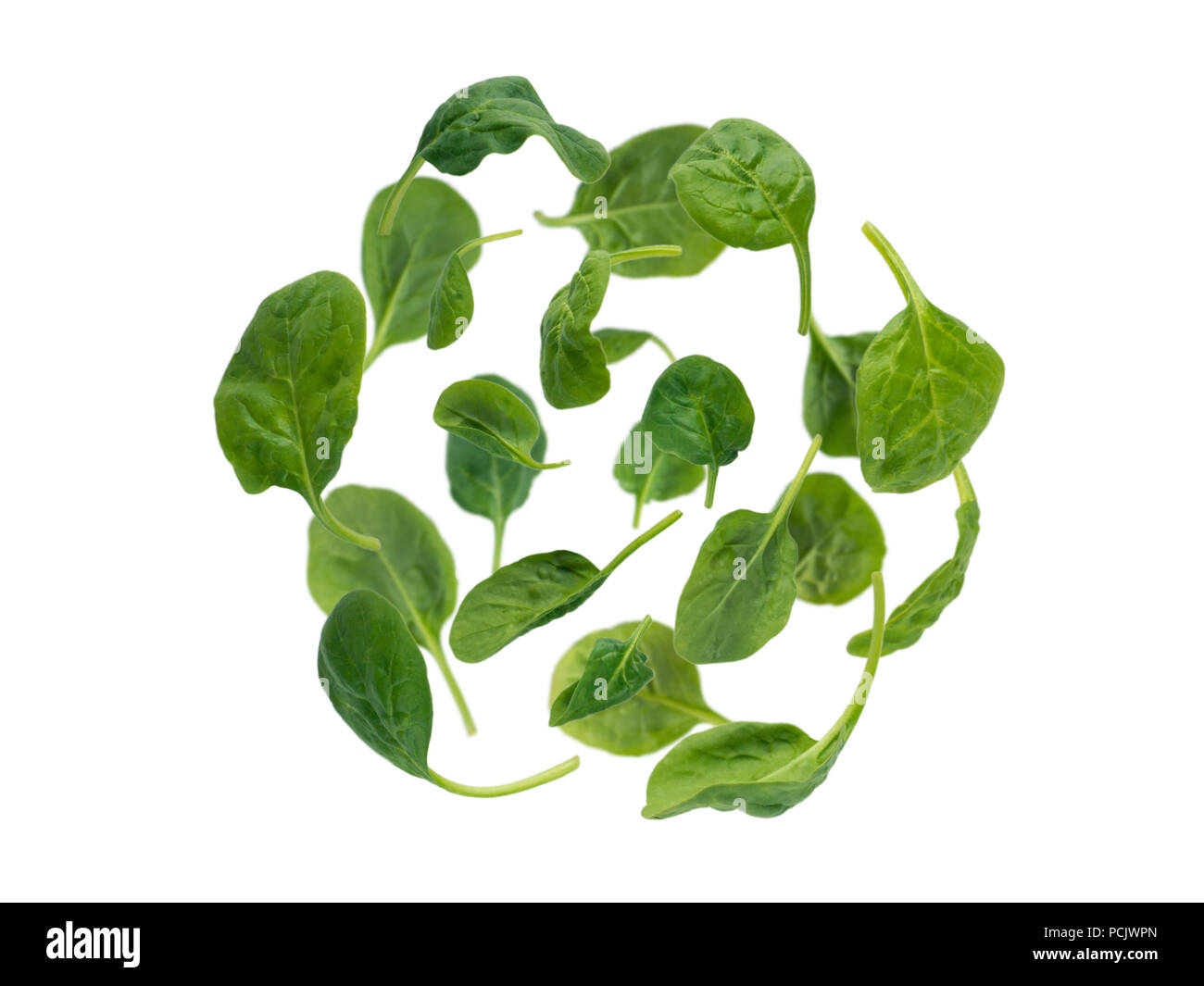 Flying green Spinatblätter kugelige Form heap isoliert auf weißem Stockfoto