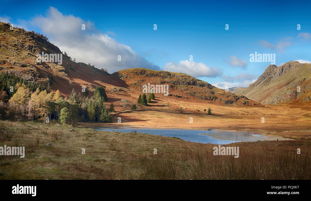 Blea Tarn, englischen Lake District Stockfoto