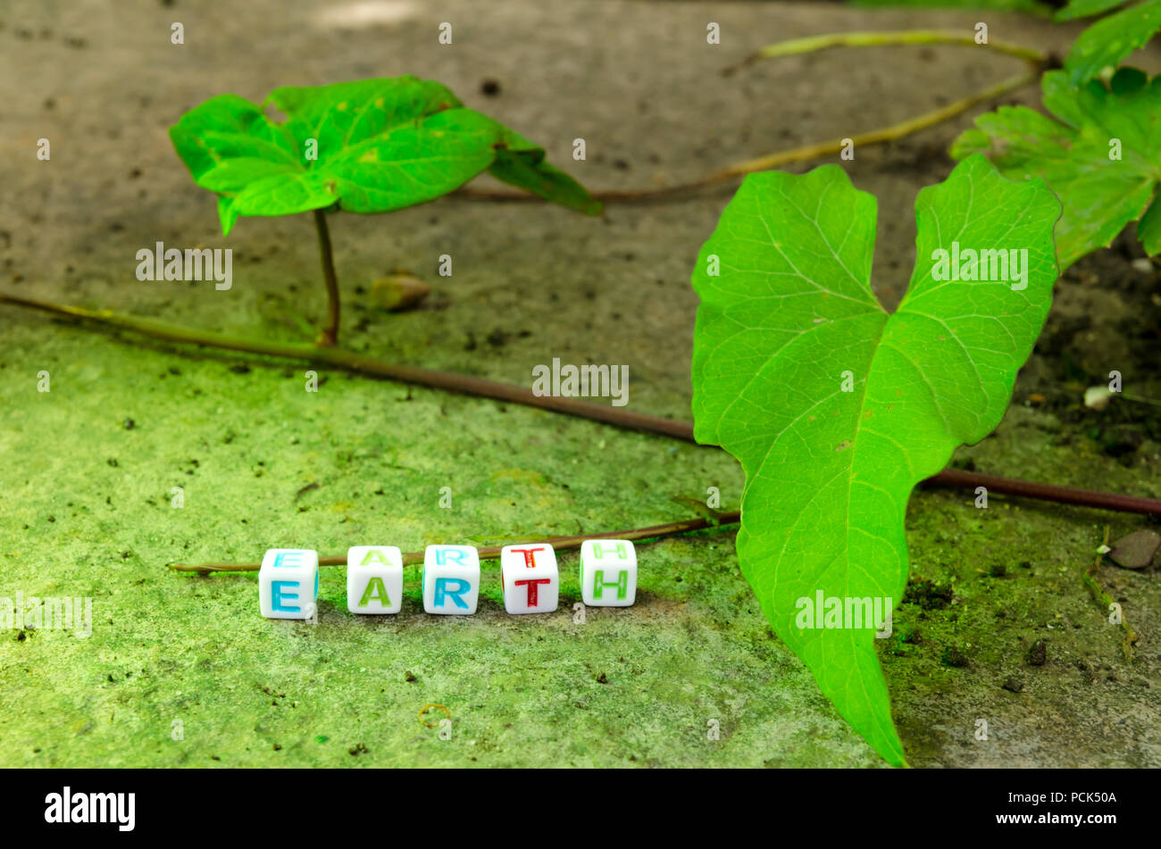 Alphabetisch Perlen auf einem Draht Rechtschreibung 'Erde' neben einem grünen Reben und auf einem Stein Oberfläche Stockfoto