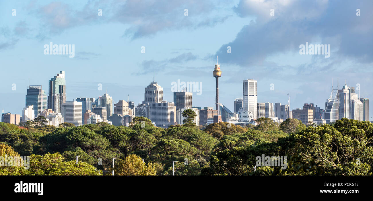 Blick auf die Skyline von Sydney Randwick Stockfoto