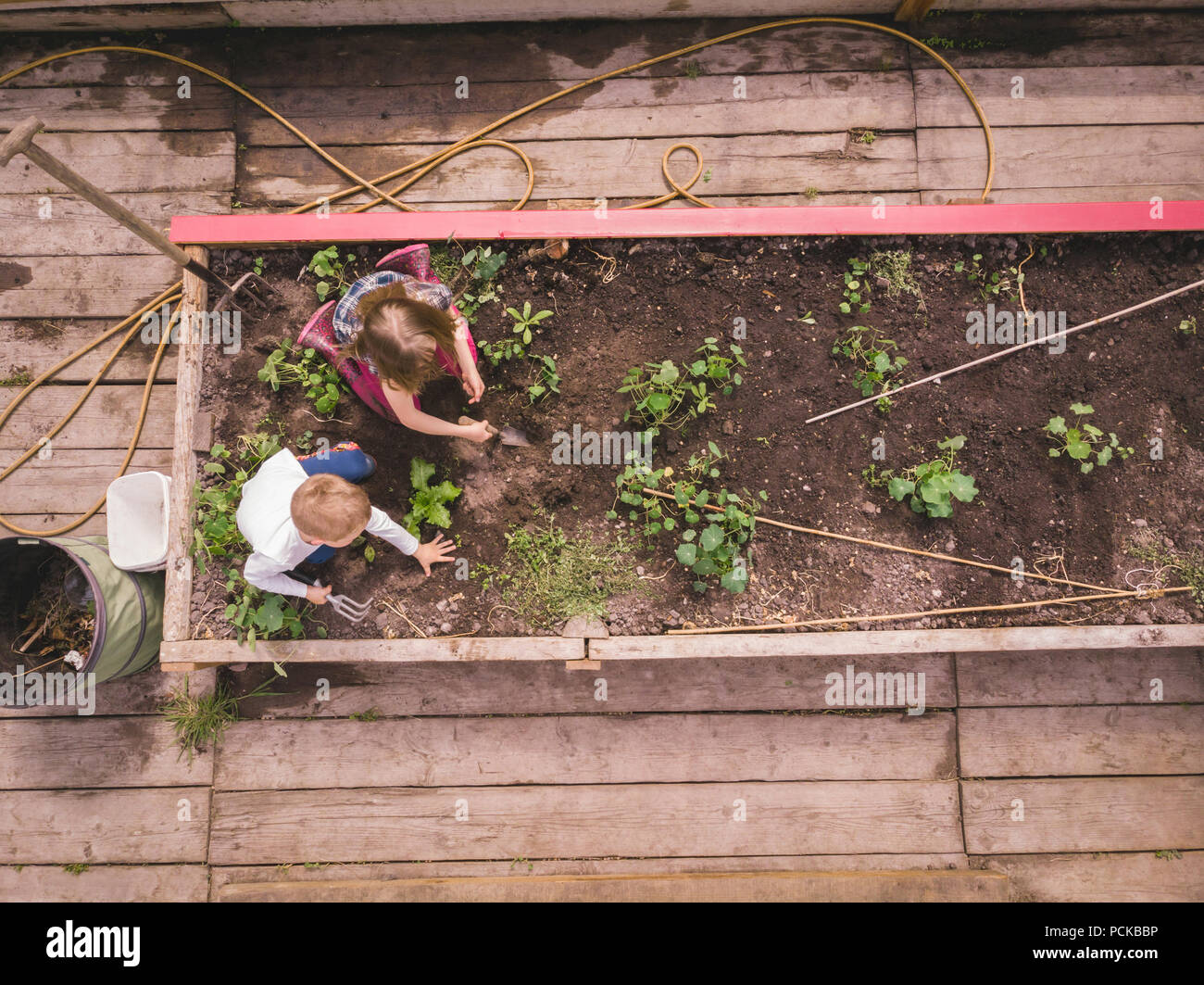Kinder im Garten arbeiten im Gewächshaus Stockfoto