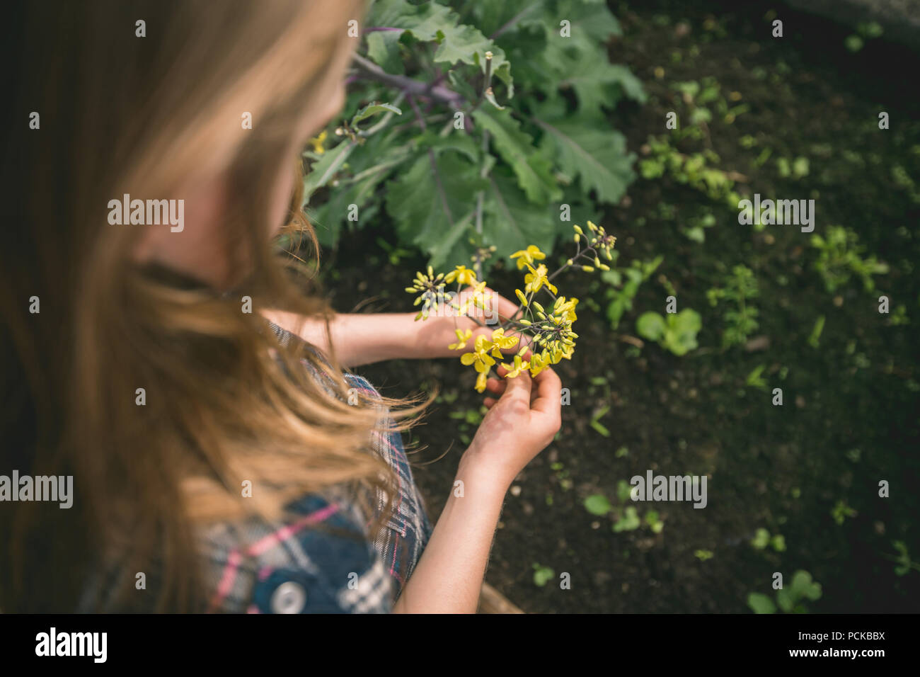 Blume in der hand -Fotos und -Bildmaterial in hoher Auflösung – Alamy