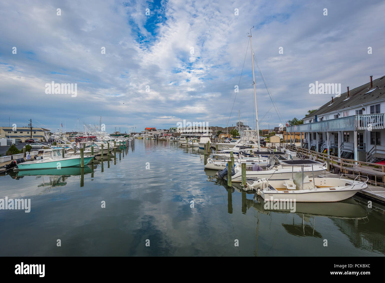 Cape May Hafen, in Cape May, New Jersey. Stockfoto