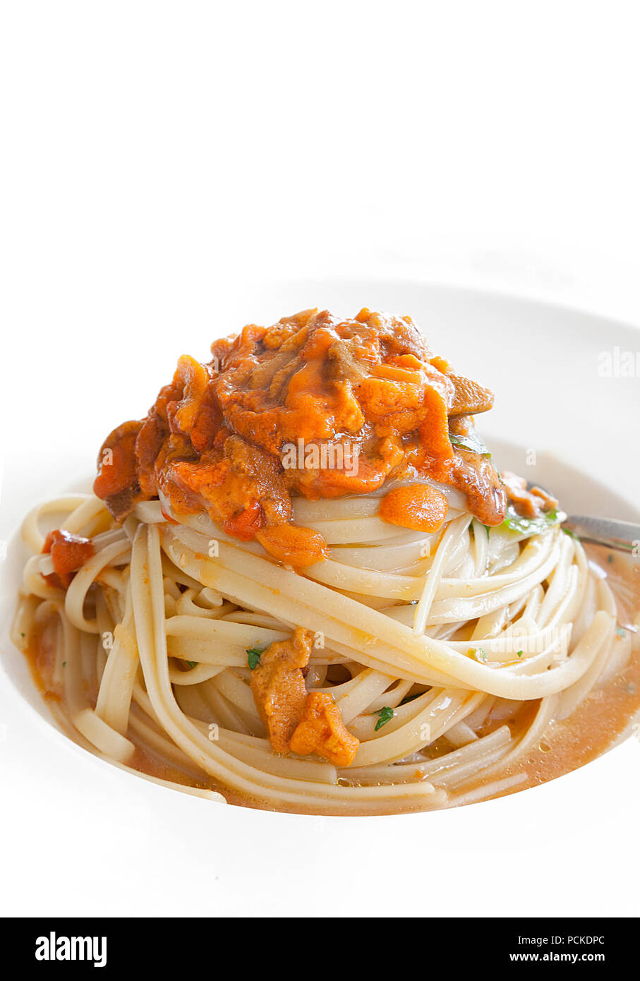 Seeigel Linguine. Mediterrane Delikatesse. Close-up mit einem weißen Hintergrund. Stock Bild. Stockfoto
