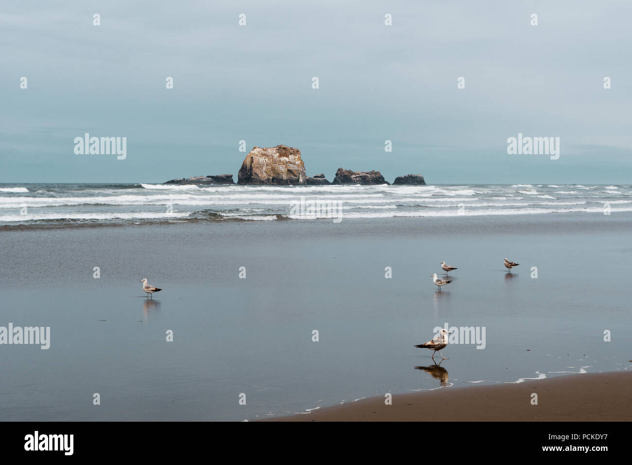 Landschaft von Bandon Strand Meer Stacks mit Möwen im Vordergrund an einem bewölkten Tag, Küste von Oregon, USA. Stockfoto