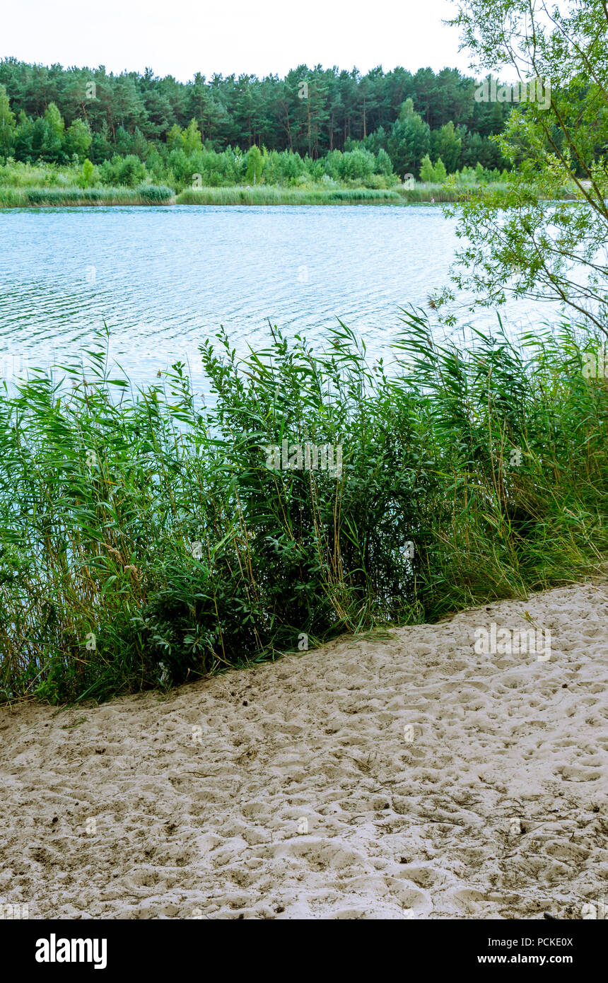 Küste des Sees. Schöne Landschaft der deutschen See Urlaub. Reisen Bild-Serie. Stockfoto