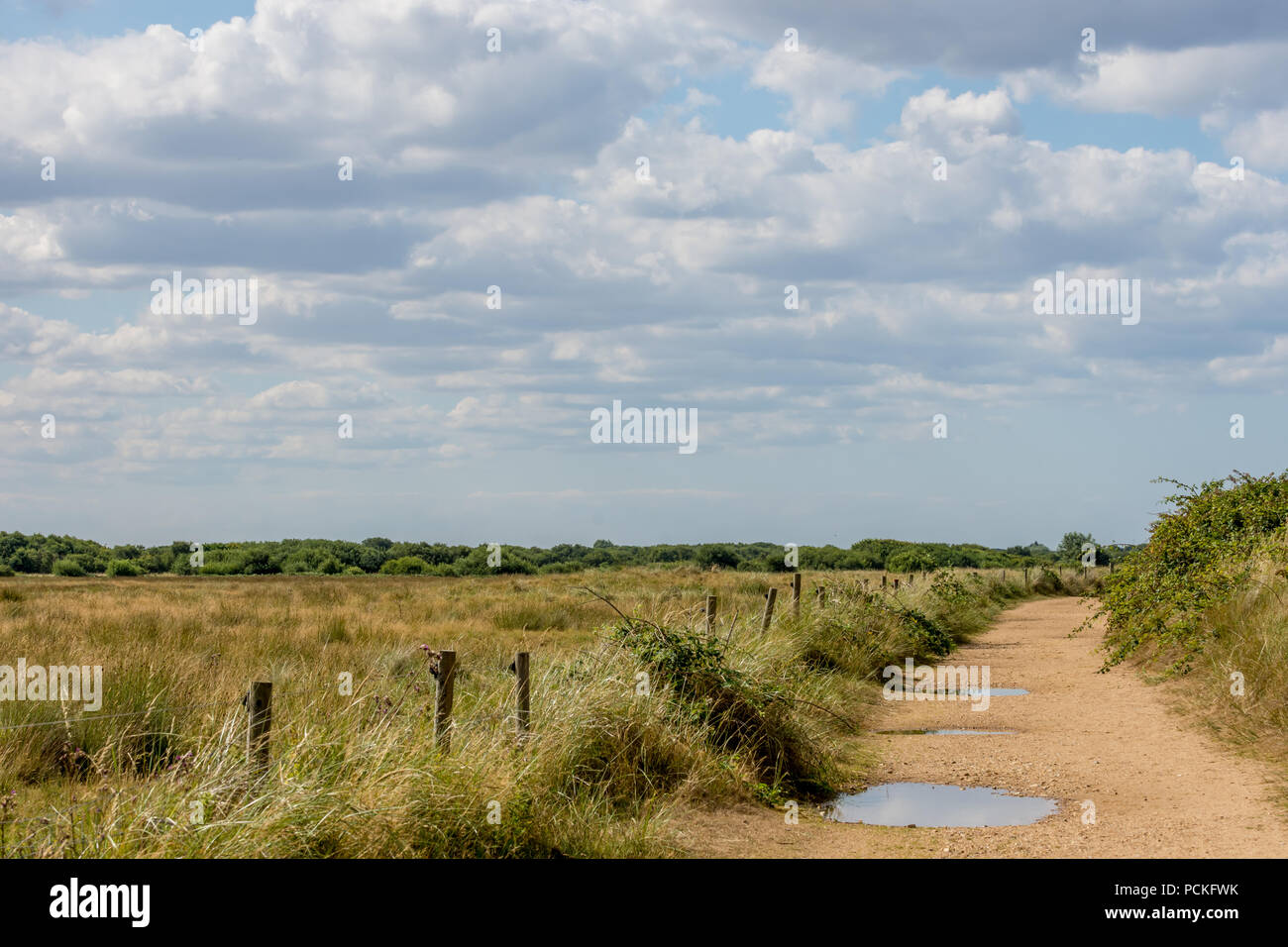 Norfolk Landschaft der Heide, Big Sky mit Fluffy Clouds, und sandigen Pfad mit Pfützen. Stockfoto