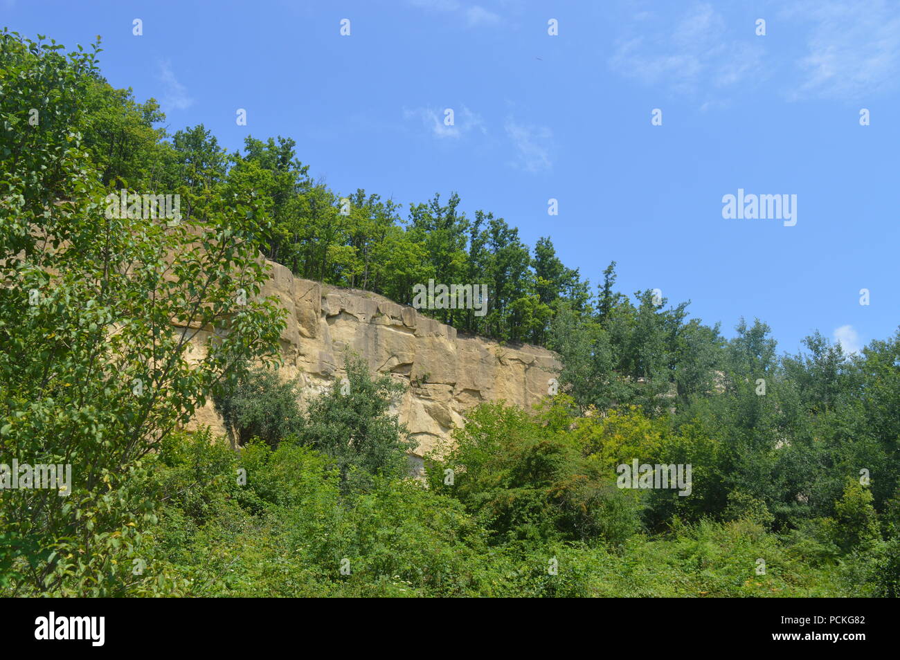 Rumänischen Wald Stockfoto
