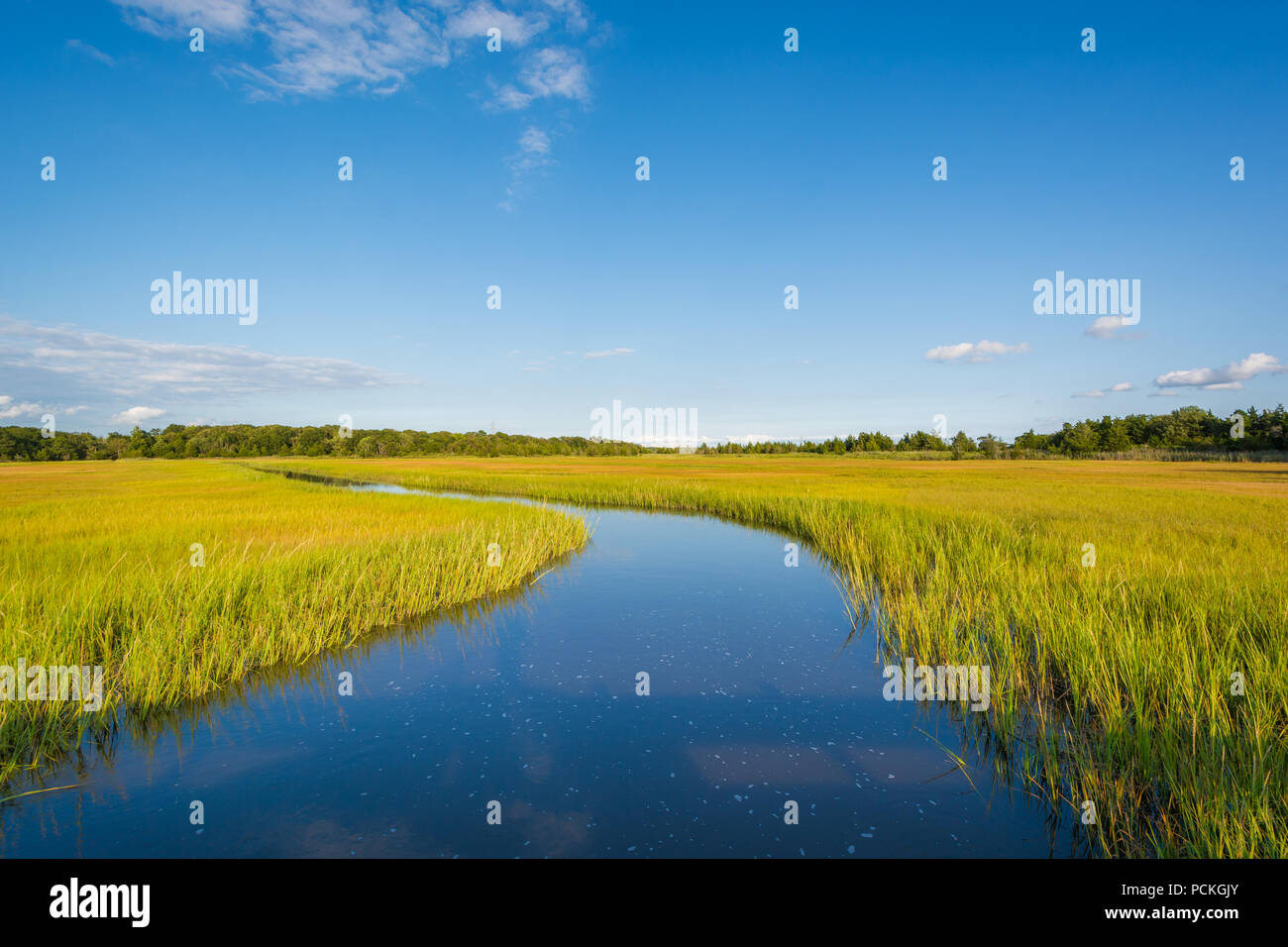 Feuchtgebiete in Egg Harbor Township, New Jersey Stockfoto
