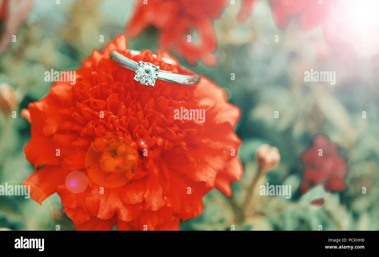Verlobungsring auf rote Blume Stockfoto