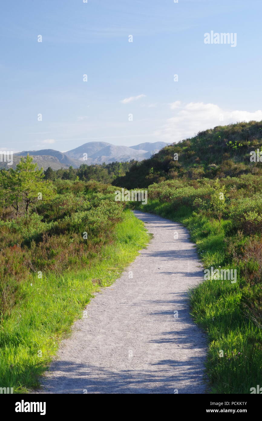 Schotterweg mit sgurr Dubh Berggipfel in der Ferne über offenen bewaldeten Heide. Beinn Eighe NNR, Kinlochewe, Schottland, Großbritannien. Stockfoto