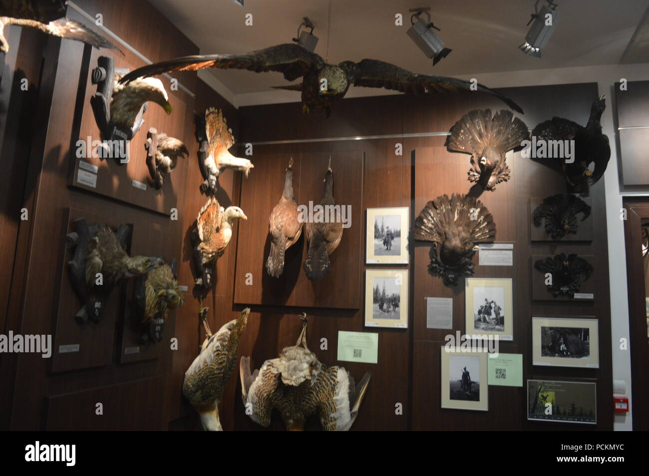 Der "August-von-spiess' Museum der Jagd Stockfoto