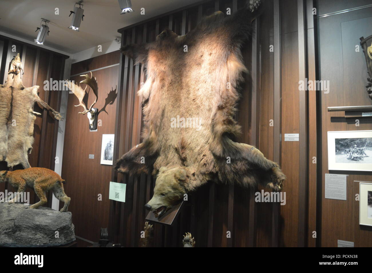 Der "August-von-spiess' Museum der Jagd Stockfoto