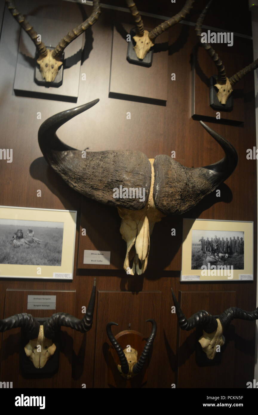 Der "August-von-spiess' Museum der Jagd Stockfoto