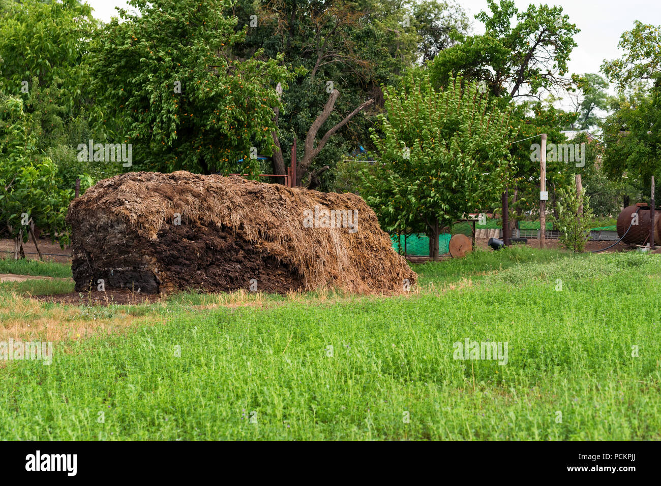 Pile Manure Stockfotos & Pile Manure Bilder - Alamy