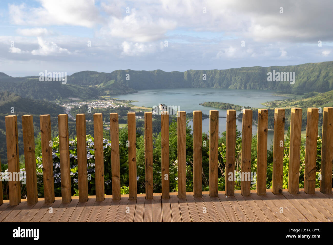 Gemeinsame Buchfink, Fringilla coelebs, in der Holz- Aussichtspunkt Miradouro Da Vista do Rei, Sete Cidades, Sao Miguel, Azoren, Portugal Stockfoto