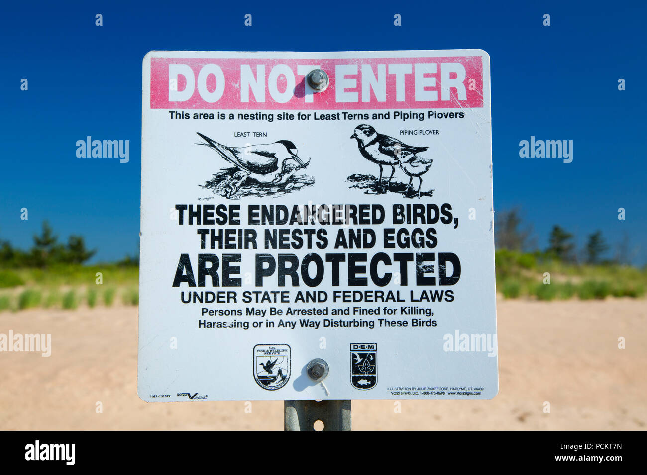 Gefährdete Arten Schließung am East Beach, ninigret Conservation Area, Rhode Island Stockfoto