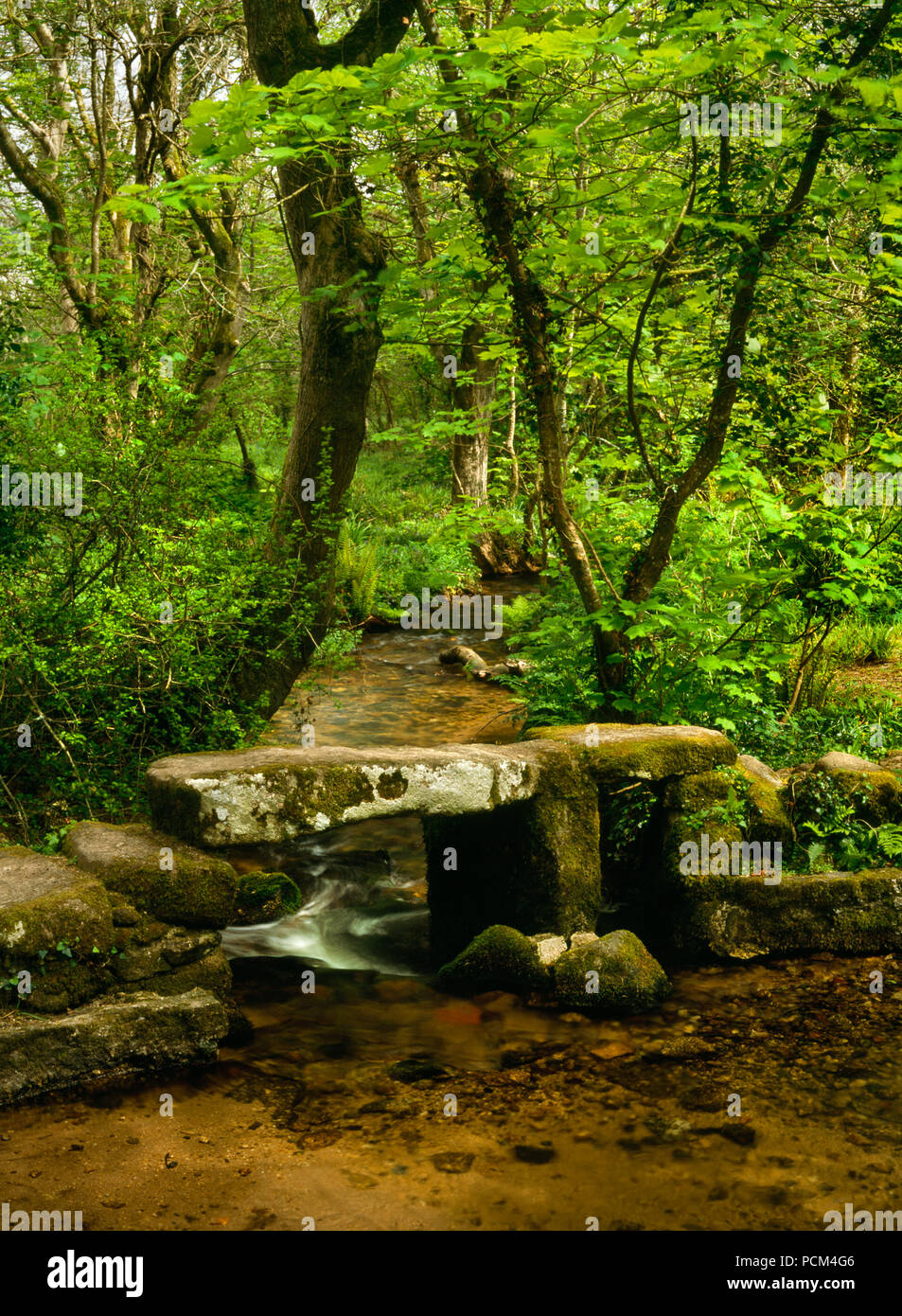 Blick NE einer clapper Bridge neben einer Furt über einen Bach im Wald S von Trewoofe&NW der B 3315 SW von Newlyn und Penzance, Cornwall, UK. Stockfoto