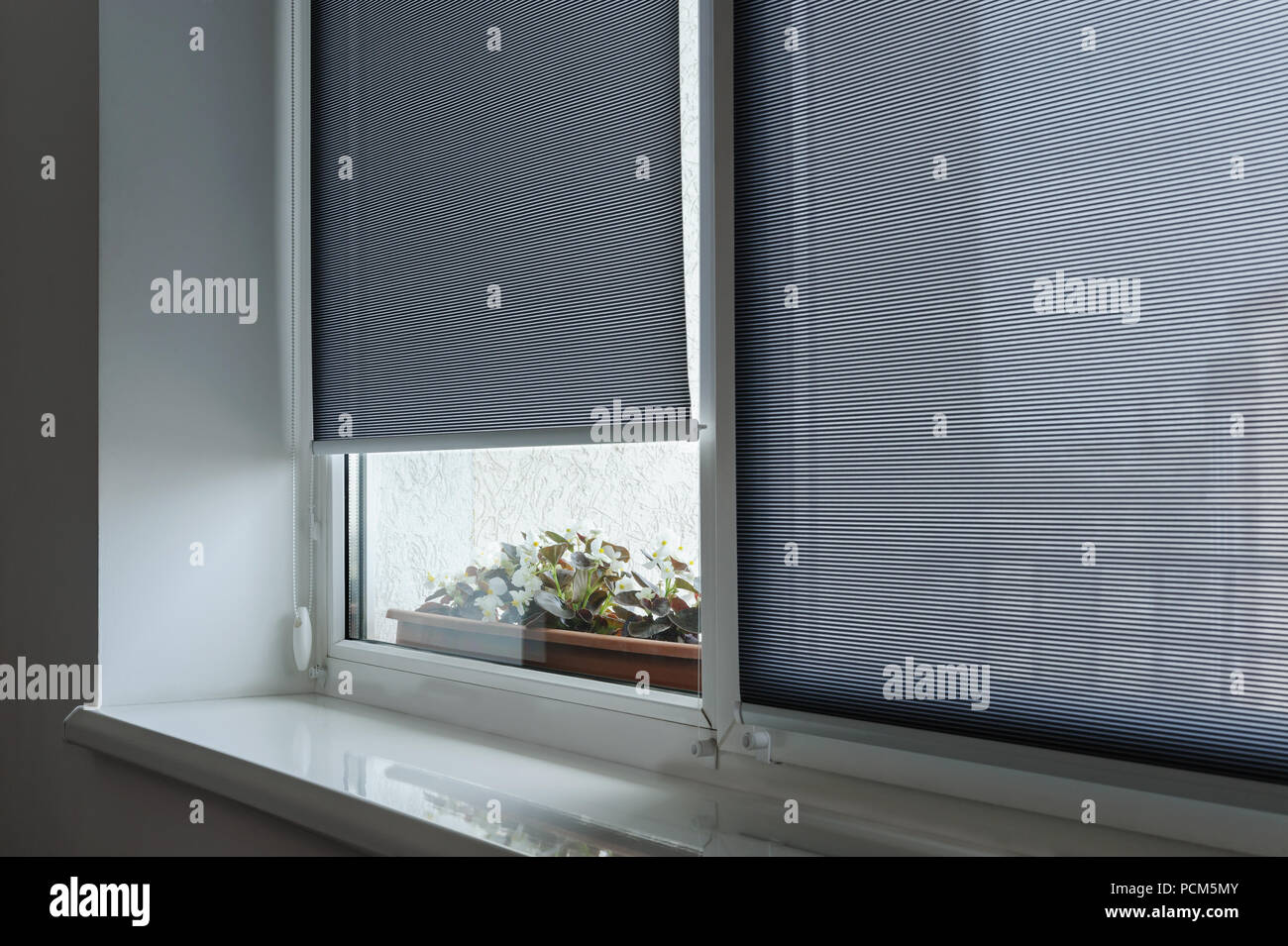 Grau Rollläden auf dem Fenster. Hinter dem Fenster sind Blumen im Blumentopf. Stockfoto