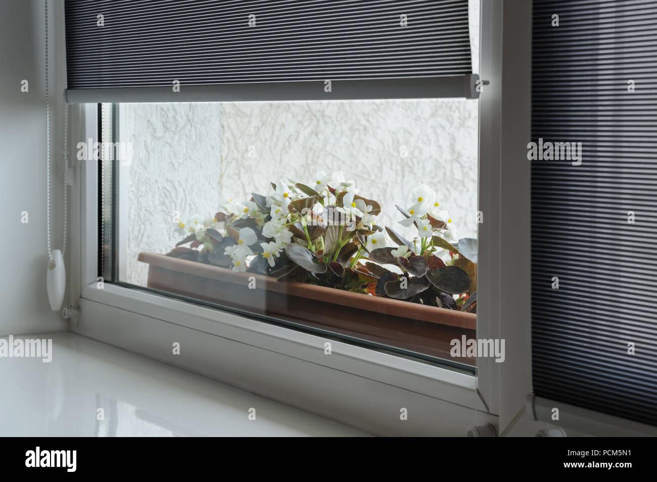 Grau Rollläden auf dem Fenster. Hinter dem Fenster sind Blumen im Blumentopf. Stockfoto