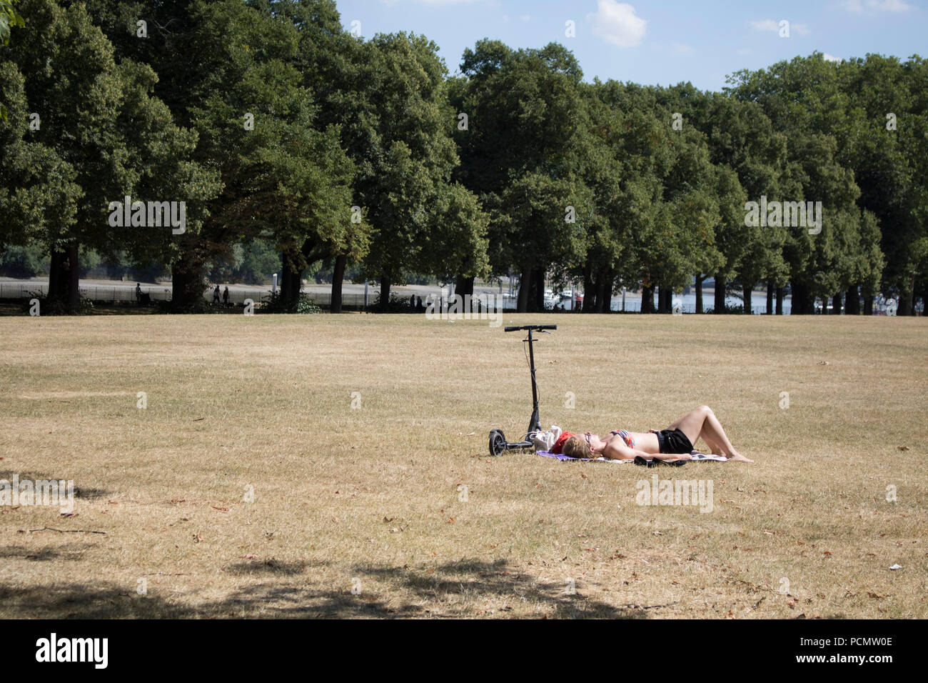 London, Großbritannien. 3. August 2018. Eine Frau die Sonne in Wandsworth Park auf einem hellen, sonnigen Tag, Freitag ist Prognose der heisseste Tag des Jahres Credit: Amer ghazzal/Alamy leben Nachrichten Stockfoto