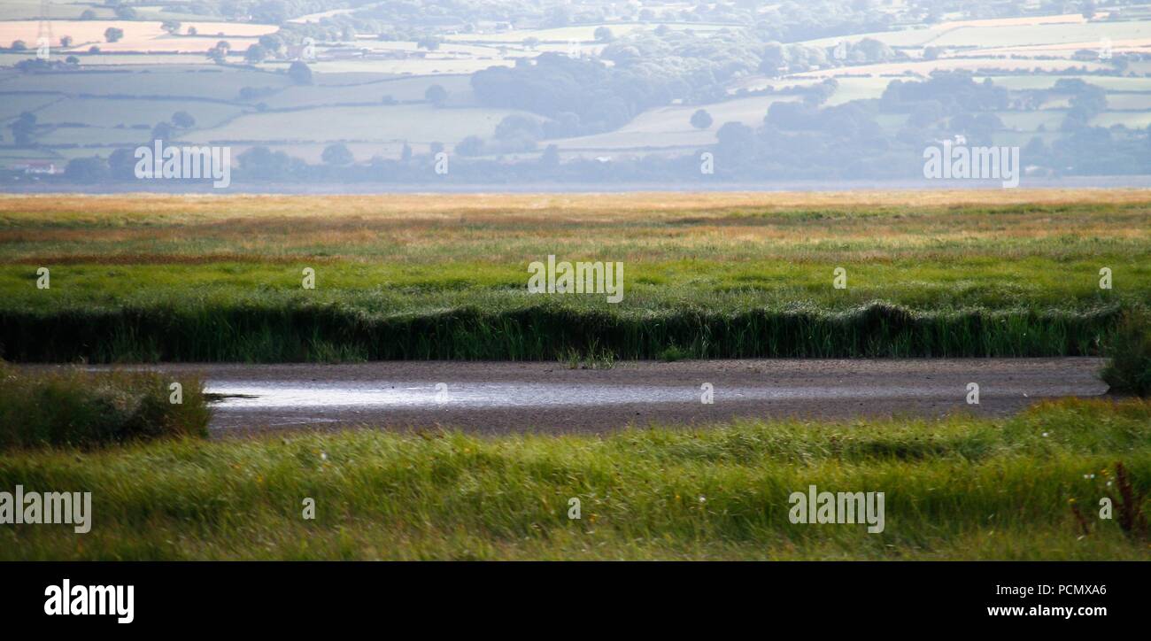 Cheshire, Großbritannien Parkgate Sümpfe, Seen trocknen aufgrund der schweren Hitze credit Ian Fairbrother/Alamy leben Nachrichten Stockfoto