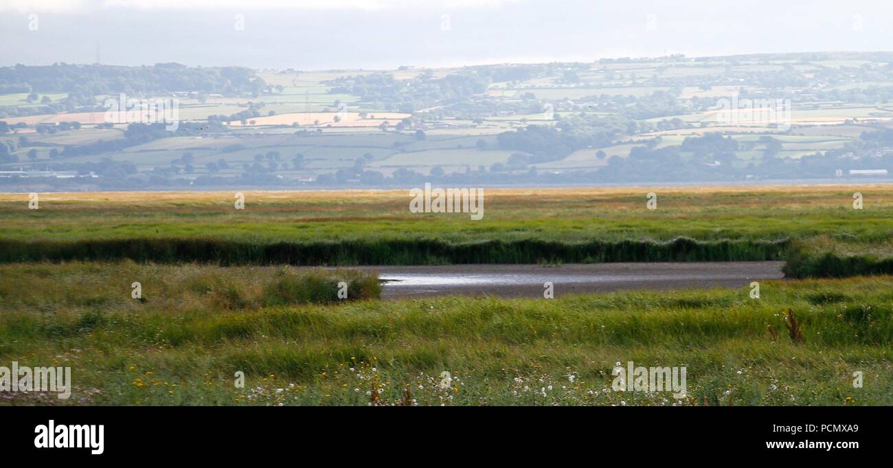 Cheshire, Großbritannien Parkgate Sümpfe, Seen trocknen aufgrund der schweren Hitze credit Ian Fairbrother/Alamy leben Nachrichten Stockfoto