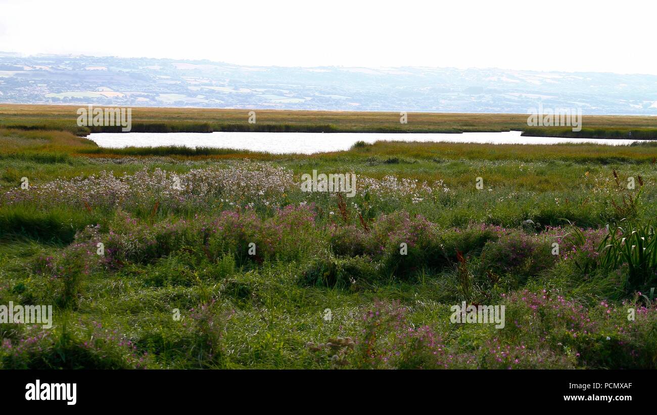 Cheshire, Großbritannien Parkgate Sümpfe, Seen trocknen aufgrund der schweren Hitze credit Ian Fairbrother/Alamy leben Nachrichten Stockfoto