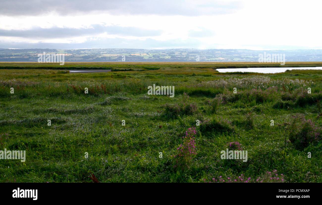Cheshire, Großbritannien Parkgate Sümpfe, Seen trocknen aufgrund der schweren Hitze credit Ian Fairbrother/Alamy leben Nachrichten Stockfoto