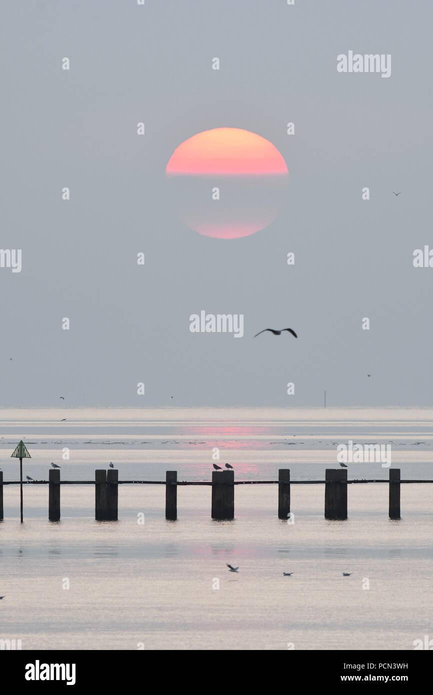 Shoeburyness, Southend-on-Sea, Essex, Großbritannien. 4. August 2018. UK Wetter: Sonnenaufgang über East Beach, shoeburyness Credit: Ben Rektor/Alamy leben Nachrichten Stockfoto