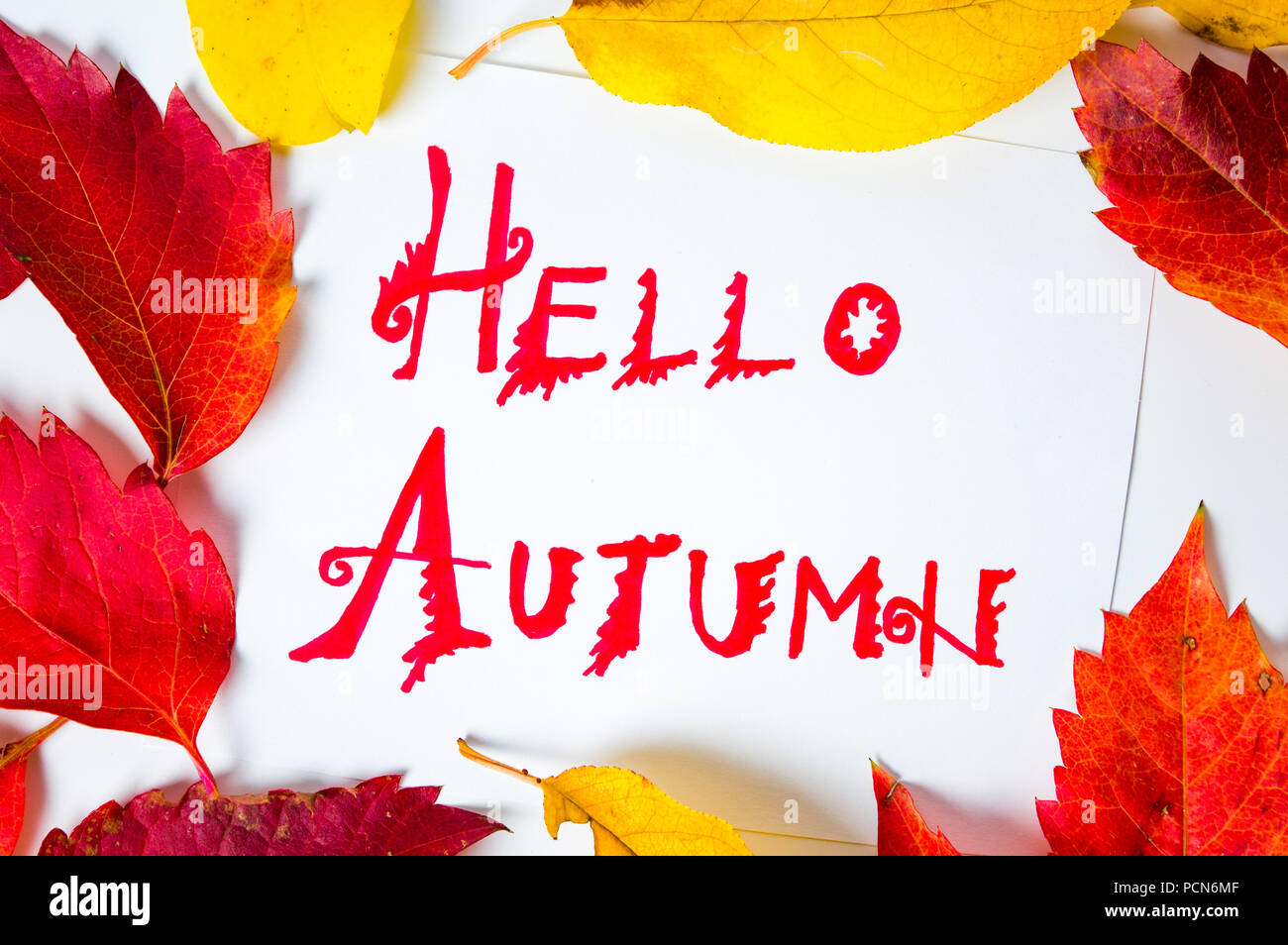 Hallo Herbst Kalligraphie Hinweis mit Laub auf weißem Papier Stockfoto