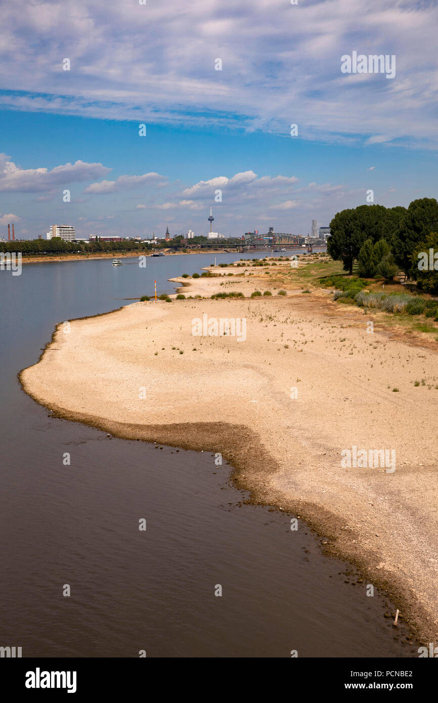 Niedriger Pegel des Rheins, 31. Juli 2018, Rheinufer in Cologne-Poll, Köln, Deutschland. Niedrigwasser des Rheins vom 31. Juli 2018, Rhe Stockfoto
