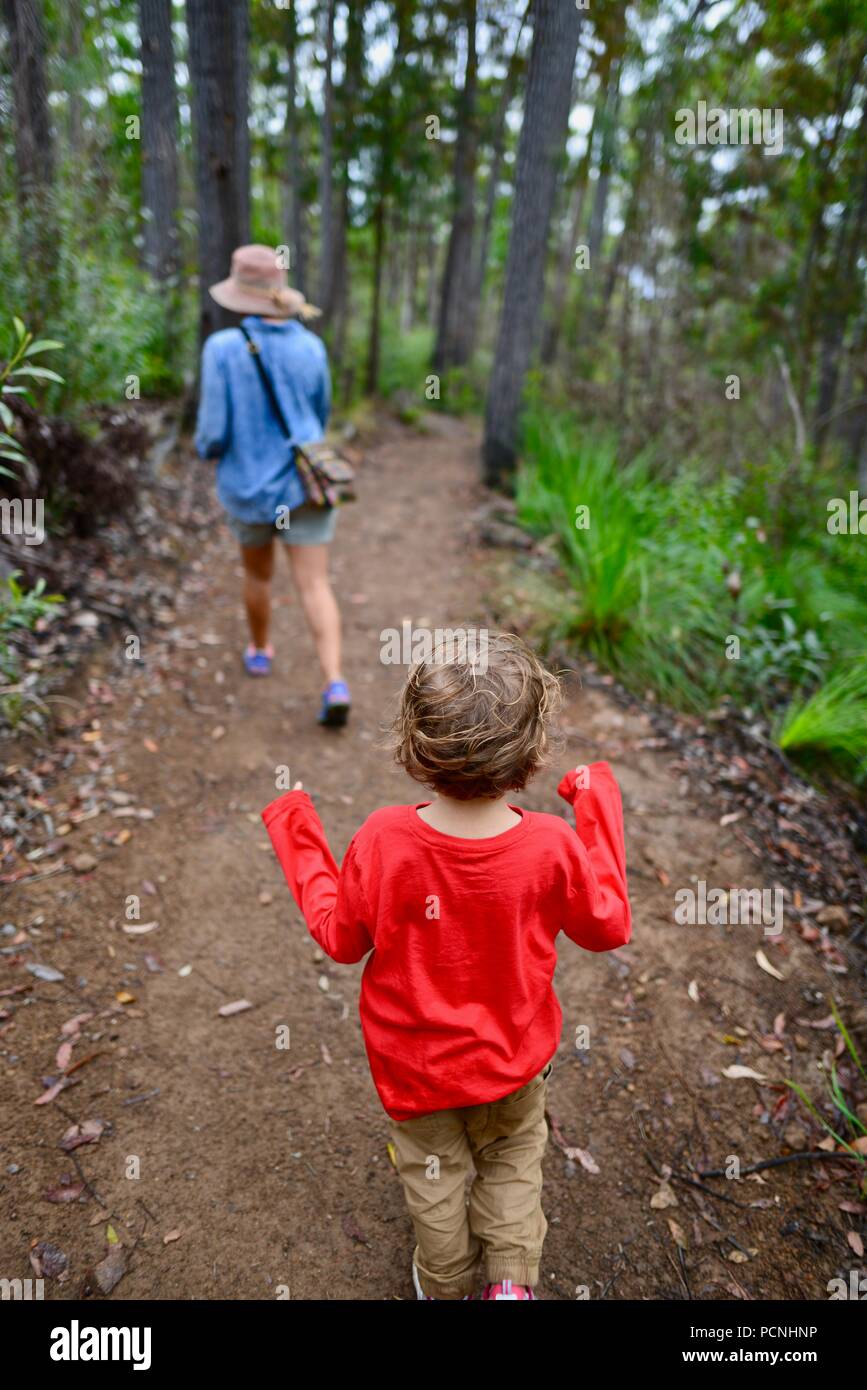 Mutter Spaziergänge mit Kindern durch einen Wald, Cardwell, Queensland, Australien Stockfoto