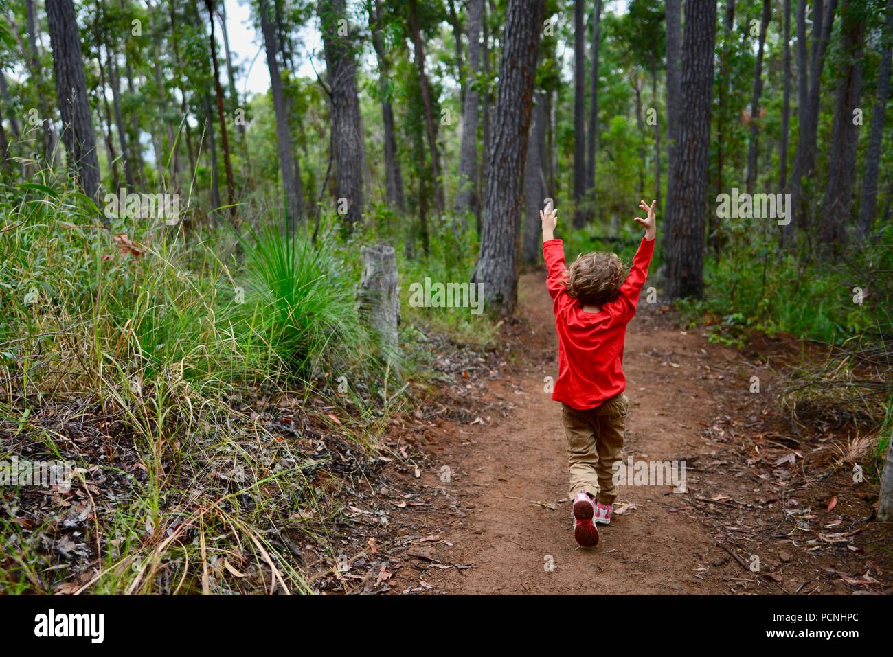 Ein Kind läuft durch einen Wald, Cardwell, Queensland, Australien Stockfoto