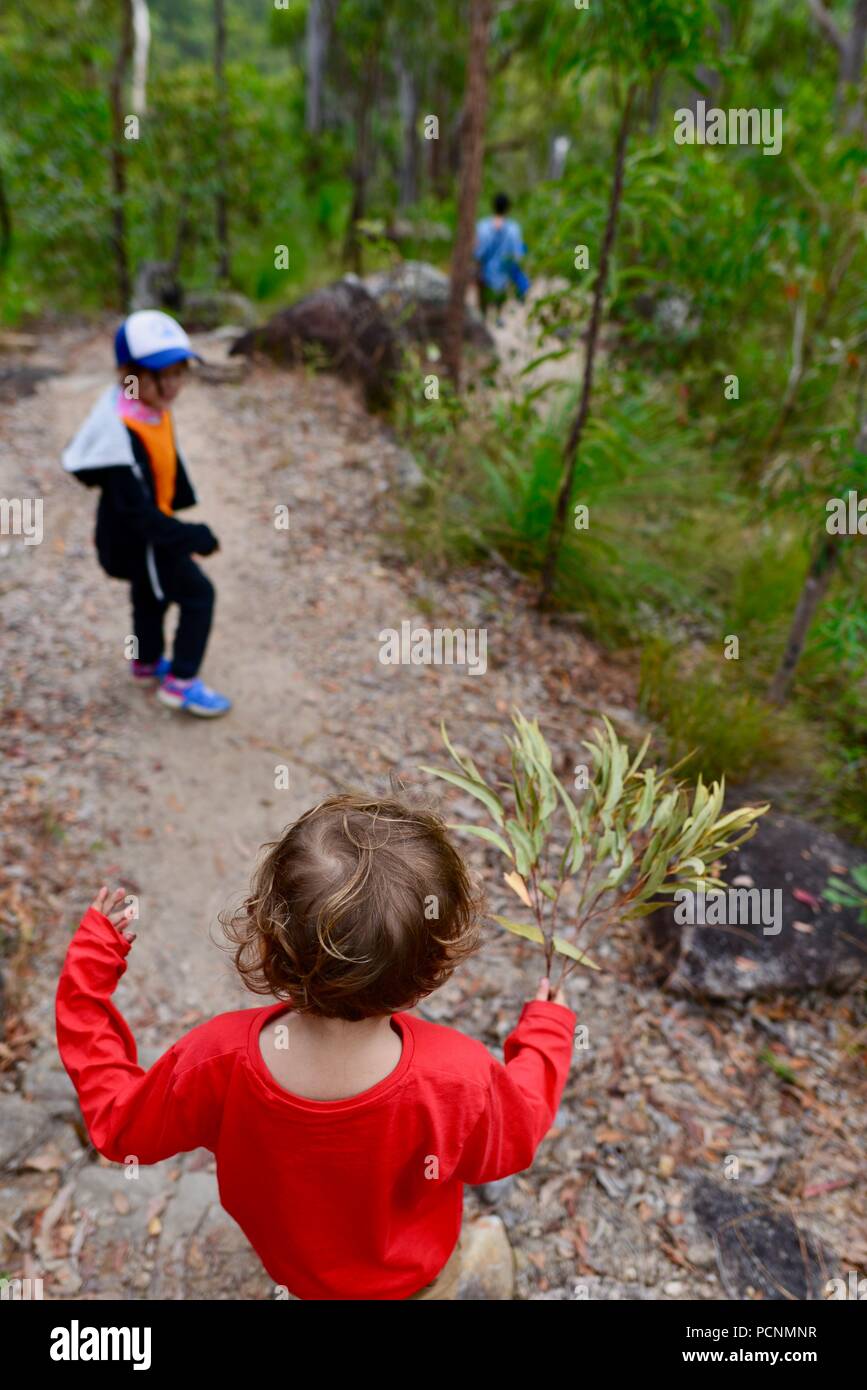 Mutter Spaziergänge mit Kindern durch einen Wald, Cardwell, Queensland, Australien Stockfoto